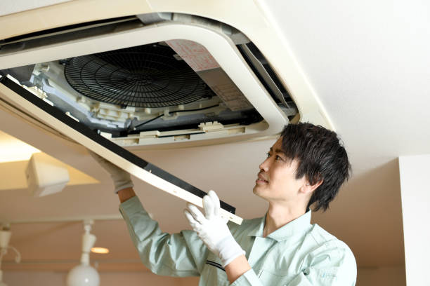 Best Local Air Duct Cleaning Services  in Pleasant Grove, AL