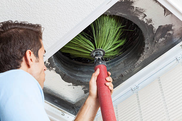 Best HVAC System Cleaning  in Pleasant Grove, AL