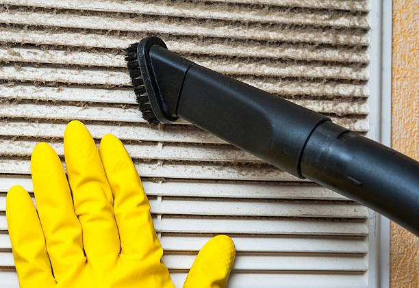 Best Affordable HVAC Duct Cleaning  in Pleasant Grove, AL